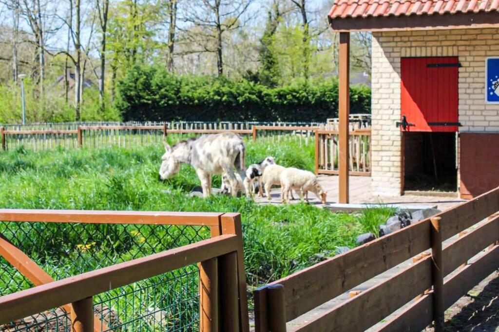 Tof Wellness Huis, Alles Nieuw, Gelegen Bij Meer. Ewijk Exterior foto